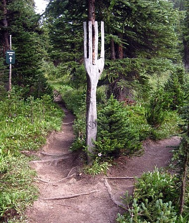 404 Fork in the Trail