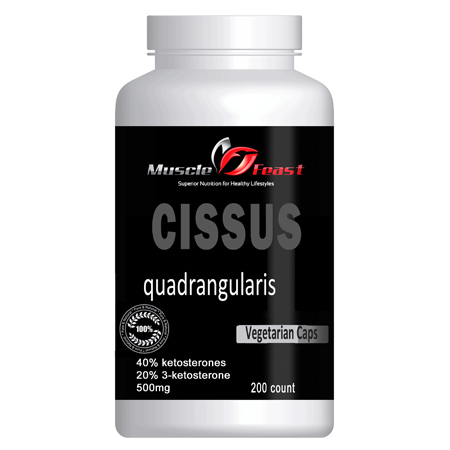 Cissus Quadrangularis Featured