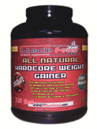 Hardcore Weight Gainer All Natural Chocolate